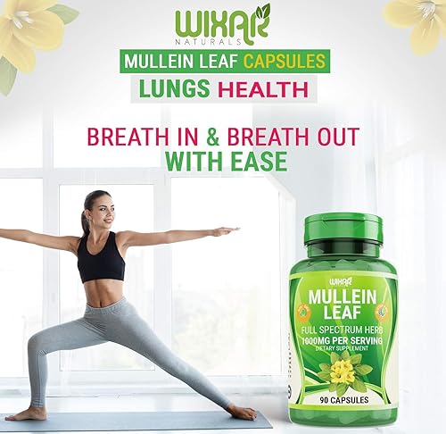 Miniatura 6 de Cápsulas de hoja de gordolobo – 90 cápsulas – Suplemento de hierbas que apoya la función respiratoria saludable y las membranas mucosas – 1000 mg –