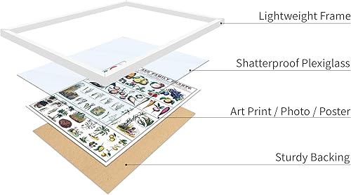 Miniatura 474 de Poster Master Póster vintage de orquídea, estampado de flores retro, arte de pared de plantas exóticas, arte botánico, regalo para hombres y