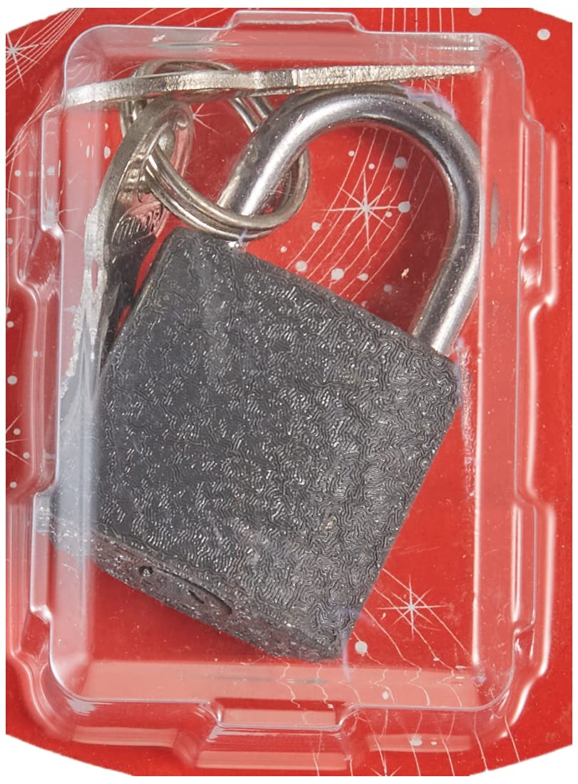Tek-İş 524164 Asma Kilit Gri Döküm, Gri, 25mm