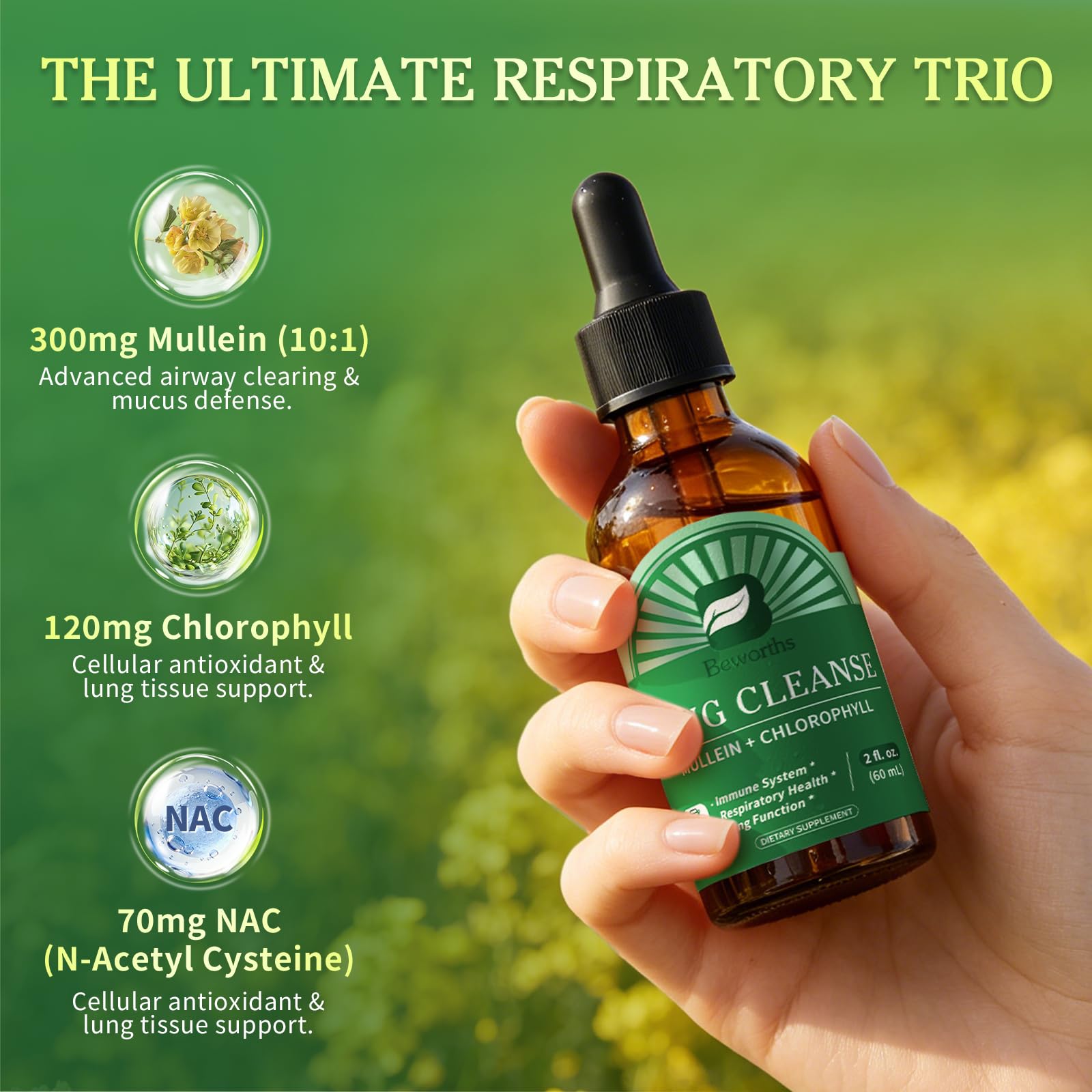 Mullein Drops for Lungs, Alchol-Free Lung Detox with Chlorophyll - 2 oz — Amazon image 3