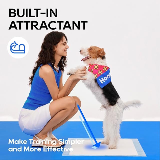 Foto 7 de 8 de All-absorb - Esterillas de formación para Perros, 120 Unidades, 45 x 60 cm, Color Blanco y Azul