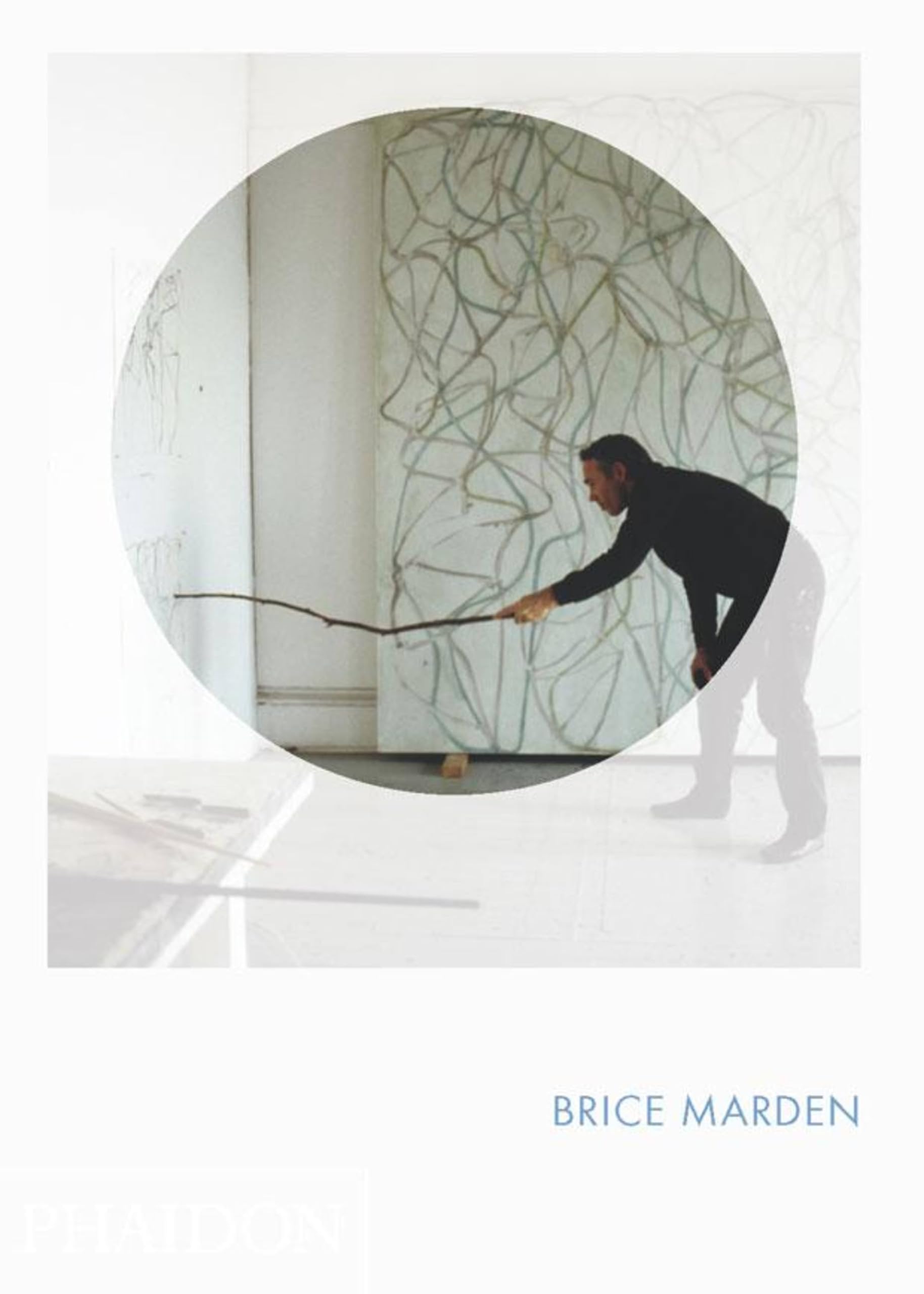 Brice Marden Phaidon Focus by Eileen Costello (Hardback Book)