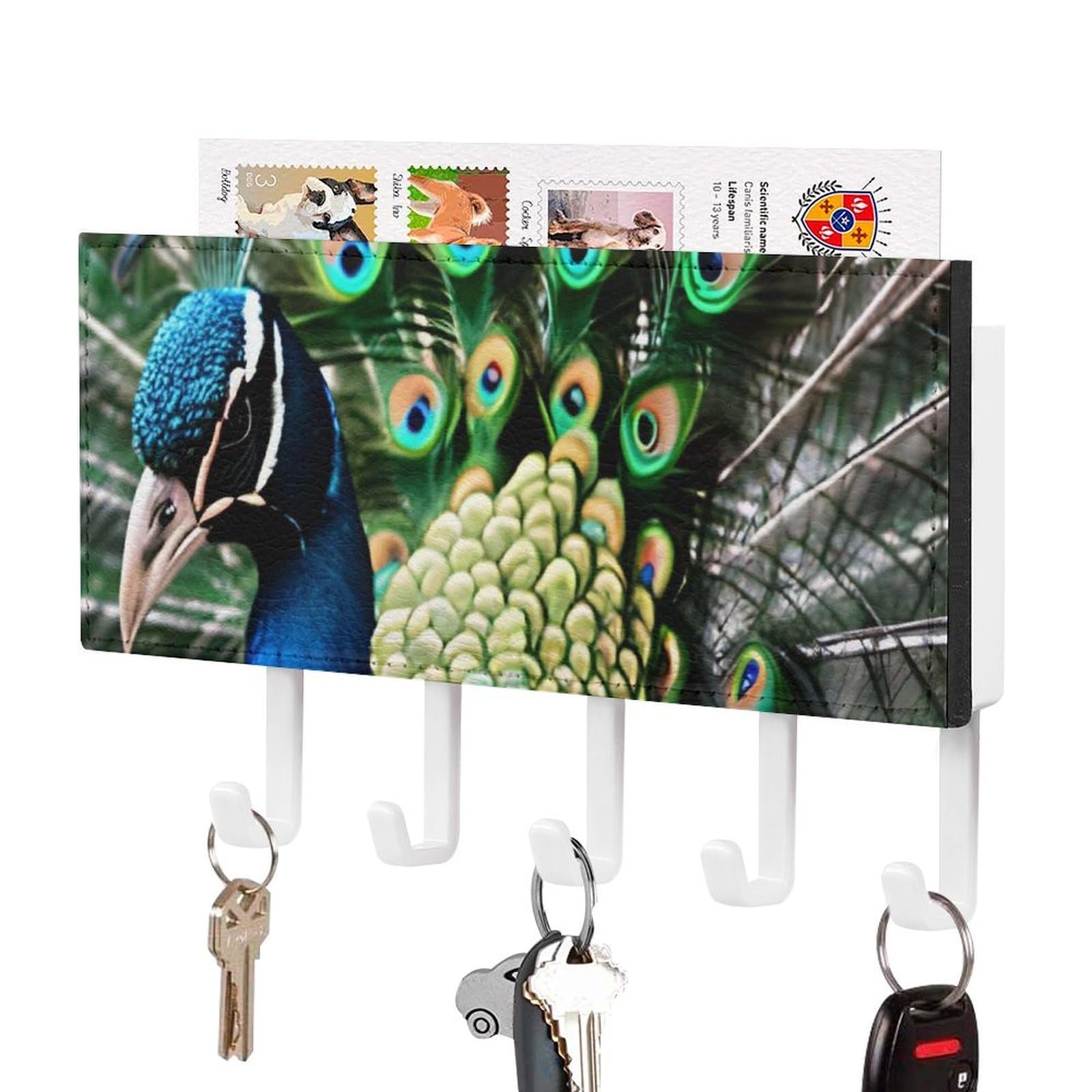 JTREHY Peacock Holder Wall-Mounted Key and Mail Holder,Key Rack with 5Keys Hooks, Easy to Install Mail Organizer for Entryway, Front Door, Hallway, Office