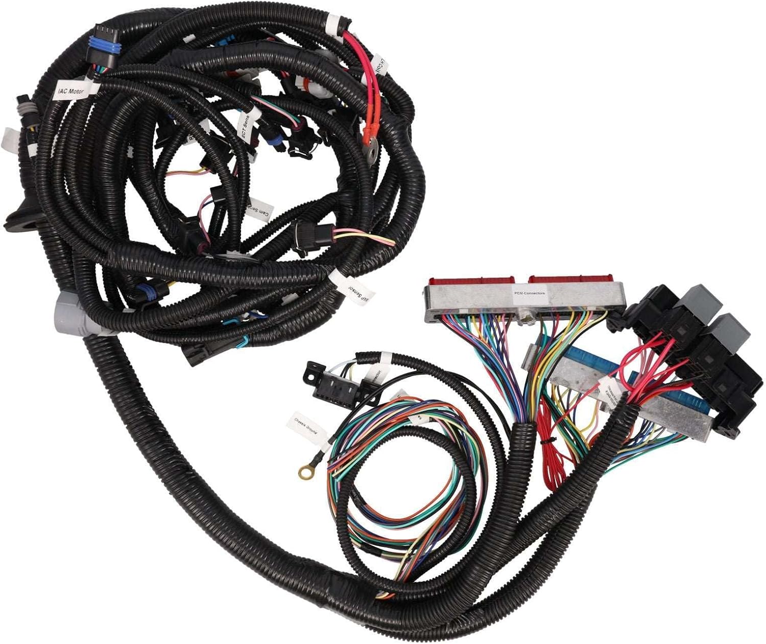 Top Street Performance Drive by Cable Engine and 4L60E Transmission Standalone Wiring Harness for GM LS1