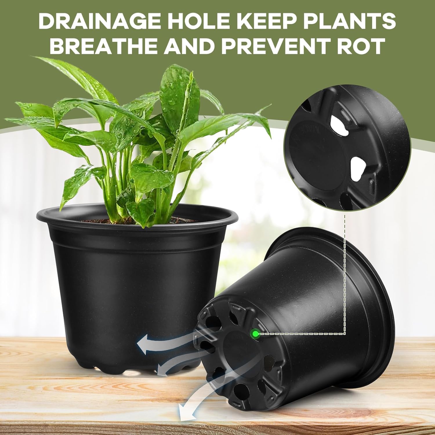 10 Vasi Per Piante In Plastica Forati Diametro 8 Cm - Per Orchidee, Acquario, Idrocoltura