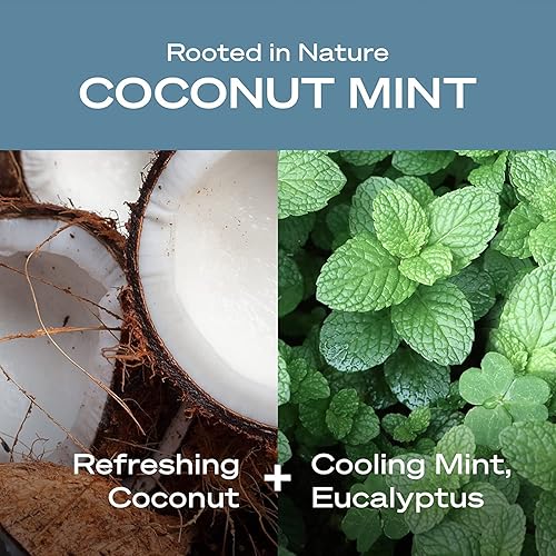 Miniatura 5 de Hey Humans Coconut Mint - Desodorante vegano, sin aluminio con ingredientes naturales, aceite de coco y manteca de karité, protección contra olores