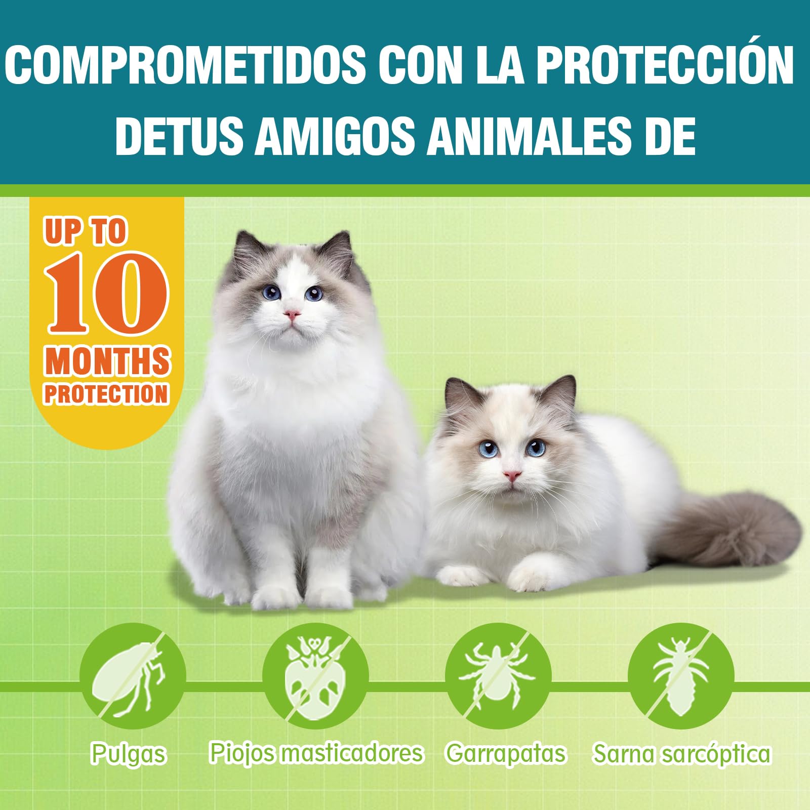 Collar Antiparasitario para Gatos, Collar Antipulgas y Garrapatas Ajustable, Gregado con Aceites Naturales, Impermeable, Apto para Todos Los Gatos,10 Meses de Protección
