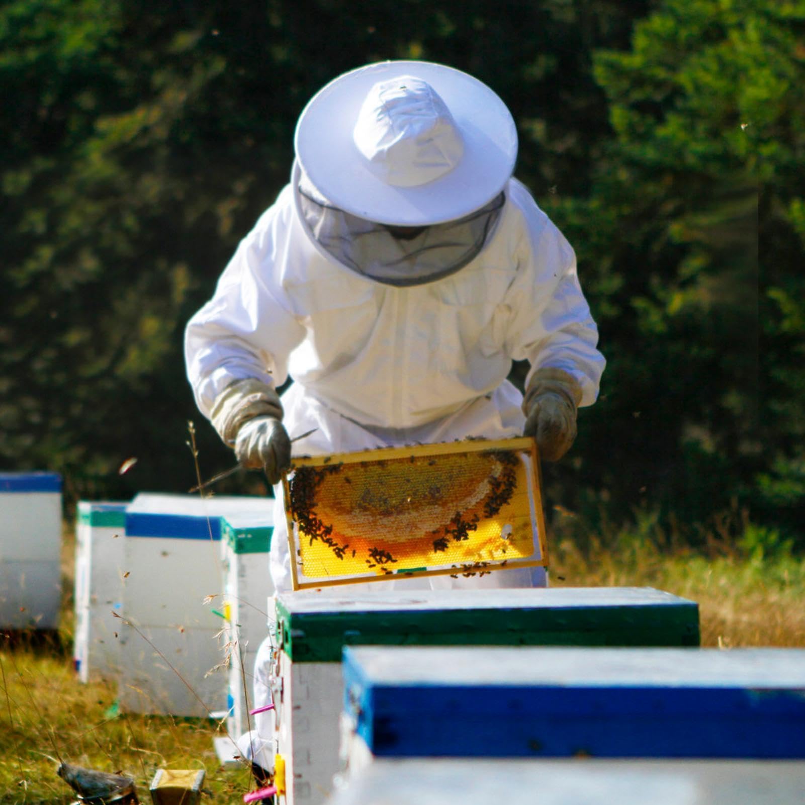 Imkeranzug – 100 % Baumwolle | Ganzkörper-Bienenanzug mit Schleierhut | Schutzkleidung für | Anti-Stich-Jacken-Overall für die Honigernte, Imkereiausrüstung für den Einsatz