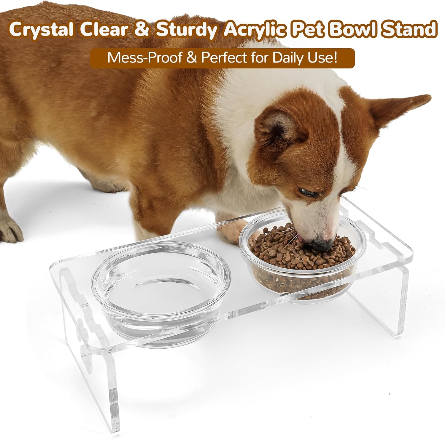 Clear Acrylic Elevated Dog Bowls with Writable Name Signs - 2×32oz Thick Glass & 2×Stainless Steel Bowls, 5.5" Height Raised Pet Feeder Stand, Food and Water Bowl Set for Medium Dogs