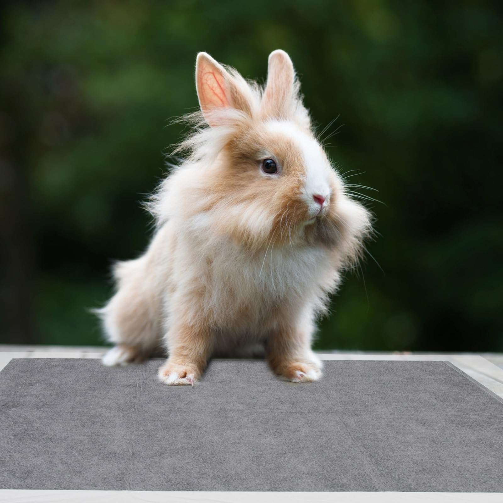 IMIKEYA 100 Pièces Tapis Urinaire pour Animaux Tapis d'apprentissage Propreté pour Animaux de Compagnie en Tissu Non Tissé, Anti-Fuite, Facile à Transporter Ranger, pour Lapin et Animal