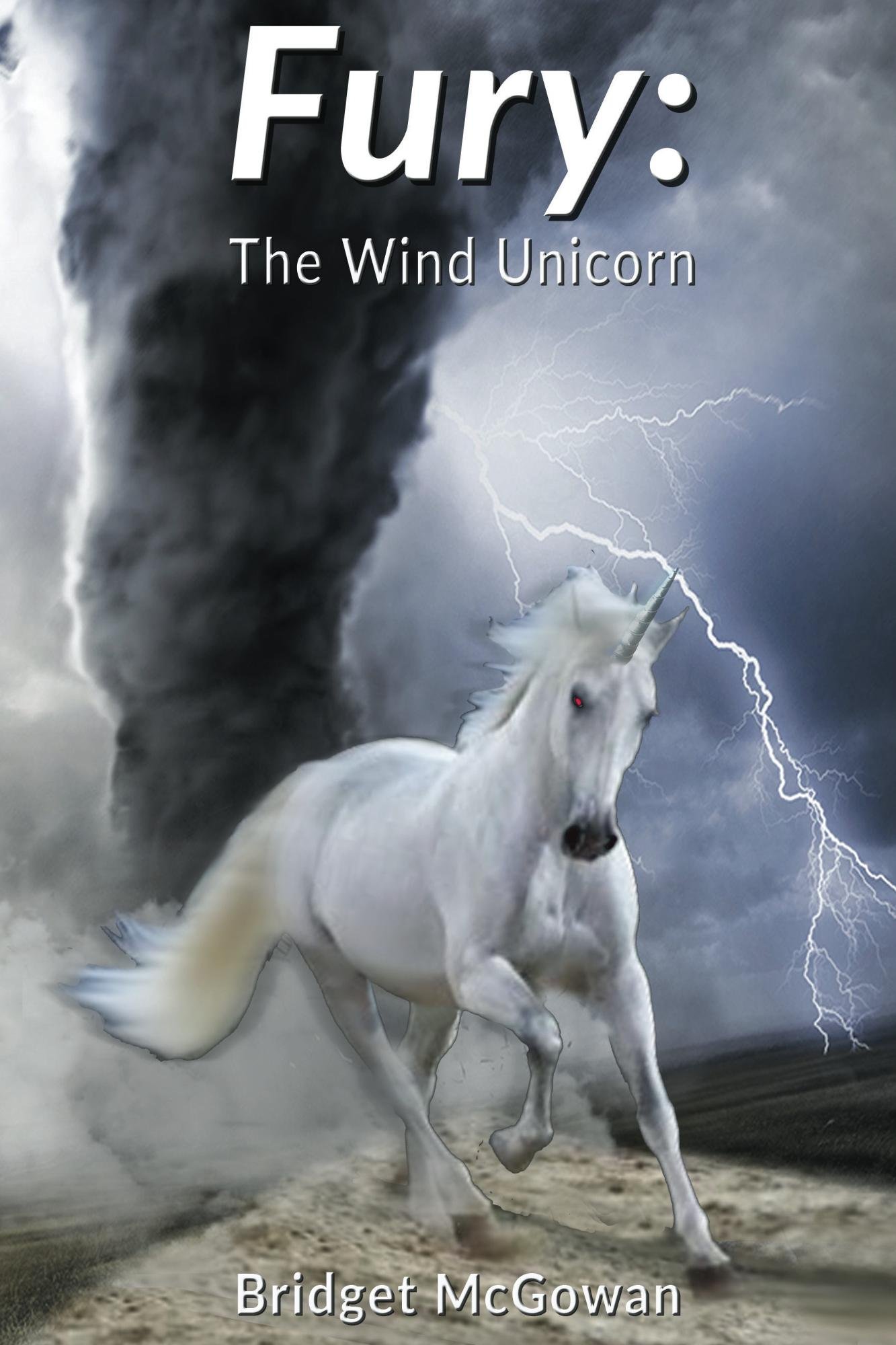 Fury: The Wind Unicorn (The Unicorn Tales Book 2)