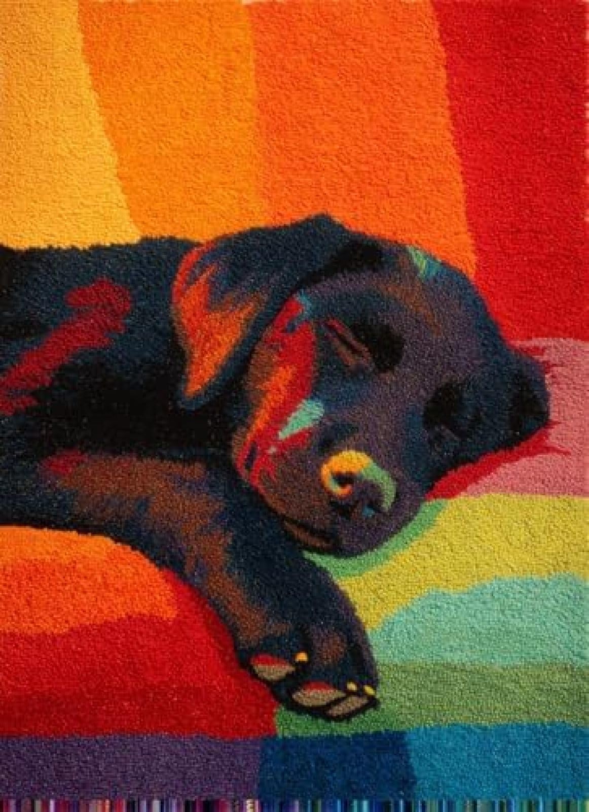 XDEGHUANGSS Latch Hook Rug Kit Flat-Coated Retriever Puppy Sleeping On Sofa Cushion Cover DIY Craft Set Pre-Printed Mat 38x52cm for Home Decor
