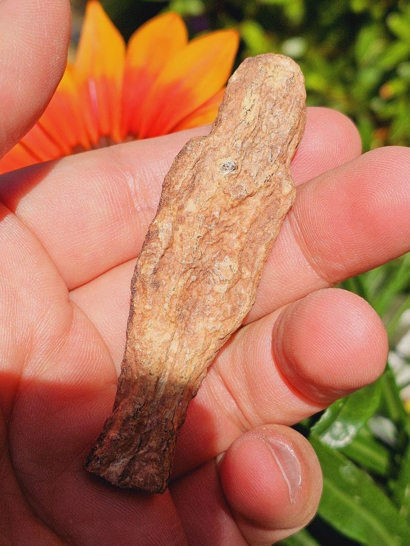 特級呪物✡️ナリーポンとマカリーポンのセット Amazon.co.jp: 特級呪物 ナリーポンとマカリーポンのセット : おもちゃ