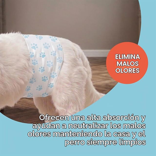 Foto 6 de 8 de Aqpet Pañales higiénicos con Banda Braguita para Perros machos con Cierre Adhesivo Ajustable, antiolores