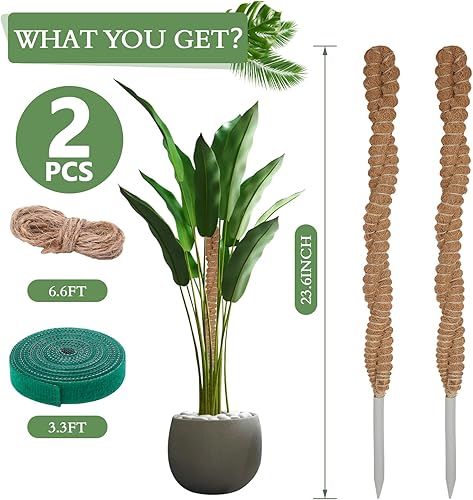 Miniatura 7 de Paquete de 2 postes de musgo de coco de 25 pulgadas para plantas trepadoras de interior, soporte de plantas hecho a mano para enredaderas para