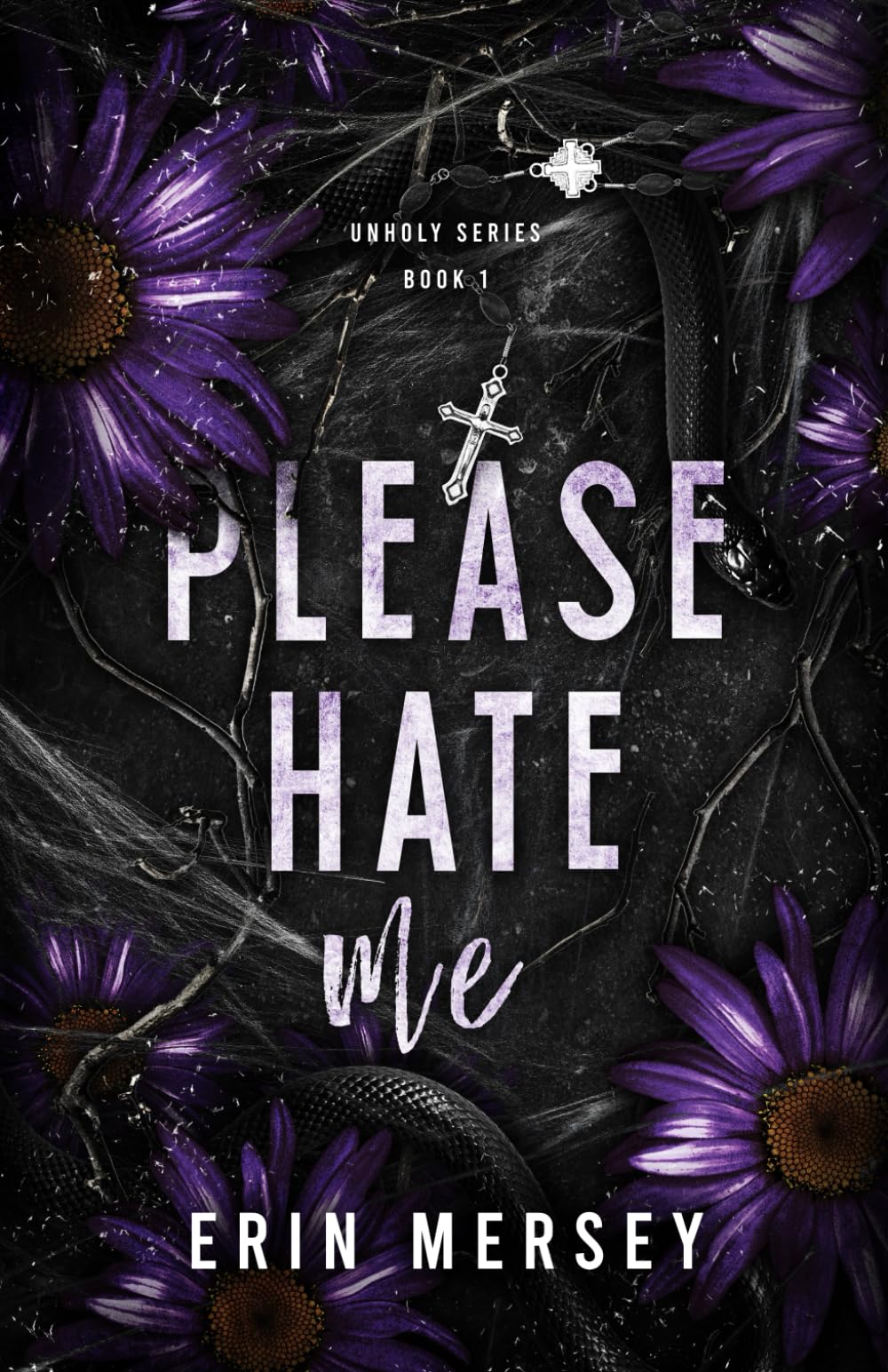 Please Hate Me: Unholy Series Book 1 (The Unholy Series)