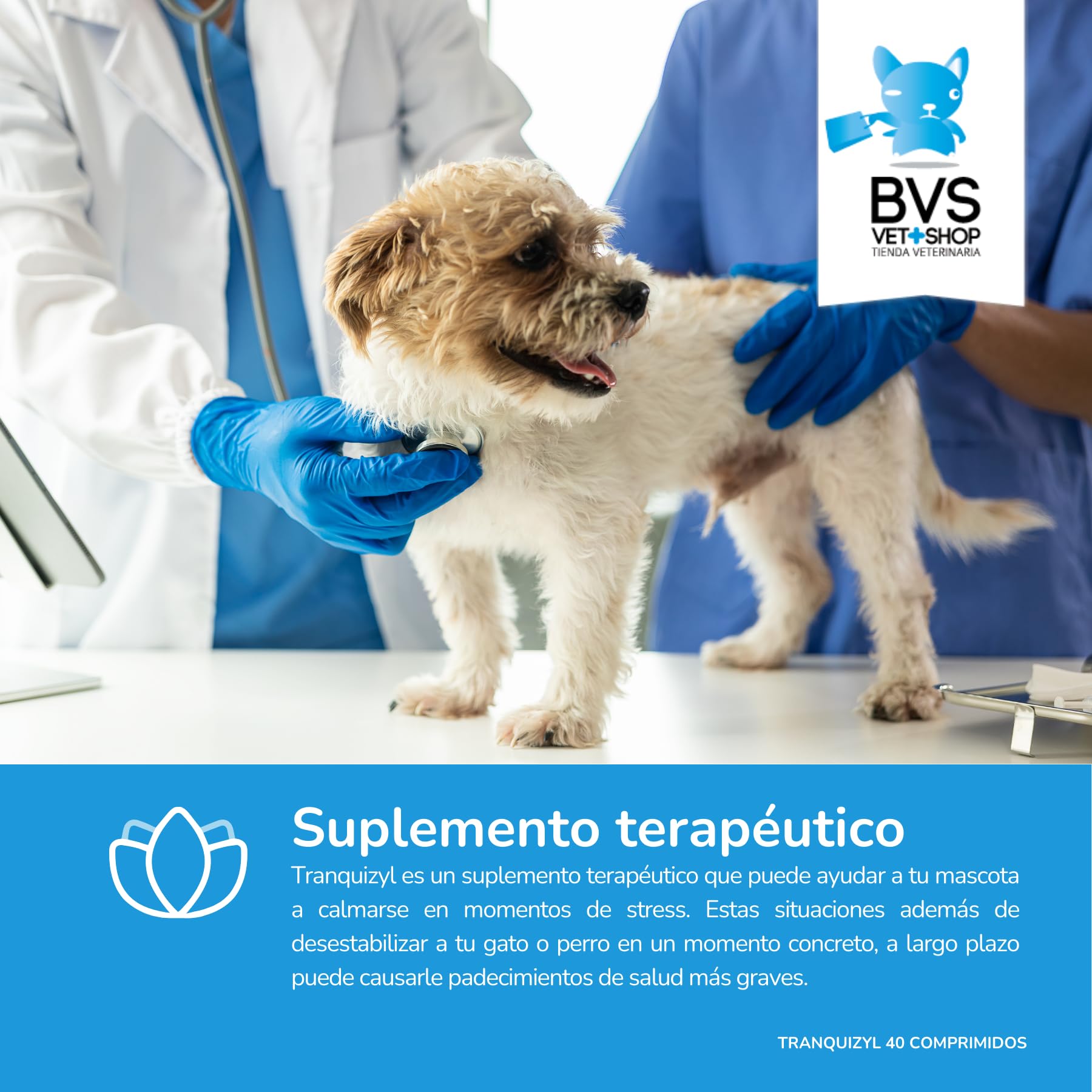 BVS Vet Shop | Tranquizyl 40 comprimés pour Chiens | Complément idéal pour Aider Votre Animal à se détendre et à Rester Calme dans Les Situations stressantes | 225 MG