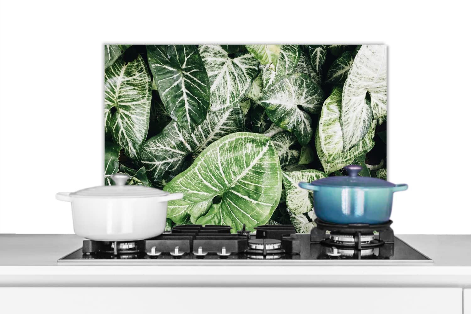 Fond De Hotte Végétation, Lac Et Montagnes, Fond De Hotte Cuisine