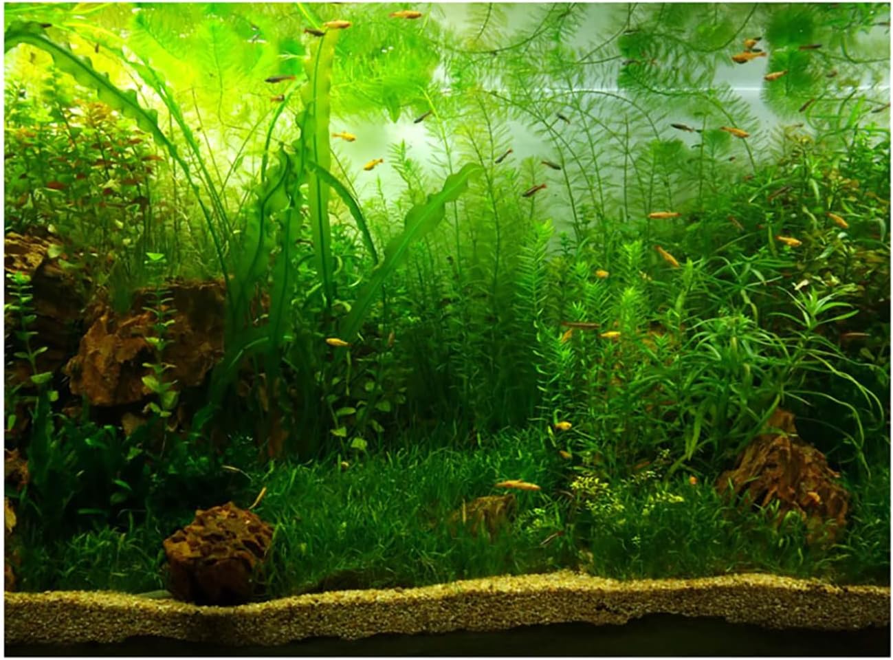 ZJchao Water Grass Style Aquarium Fish Tank Background Poster PVC Adhesive Decor Paper for Fish Tank Decoration (09)