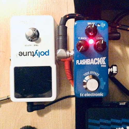 Amazon | TC Electronic FLASHBACK 2 MINI DELAY 伝説の超コンパクト
