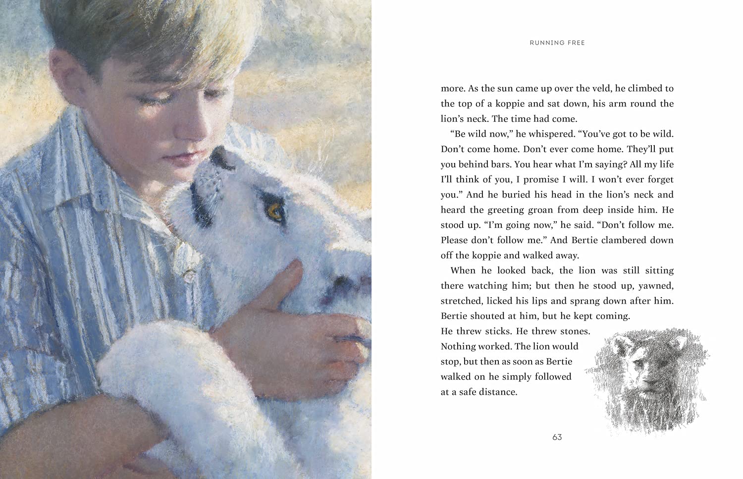 The Butterfly Lion: The classic story of an unforgettable friendship