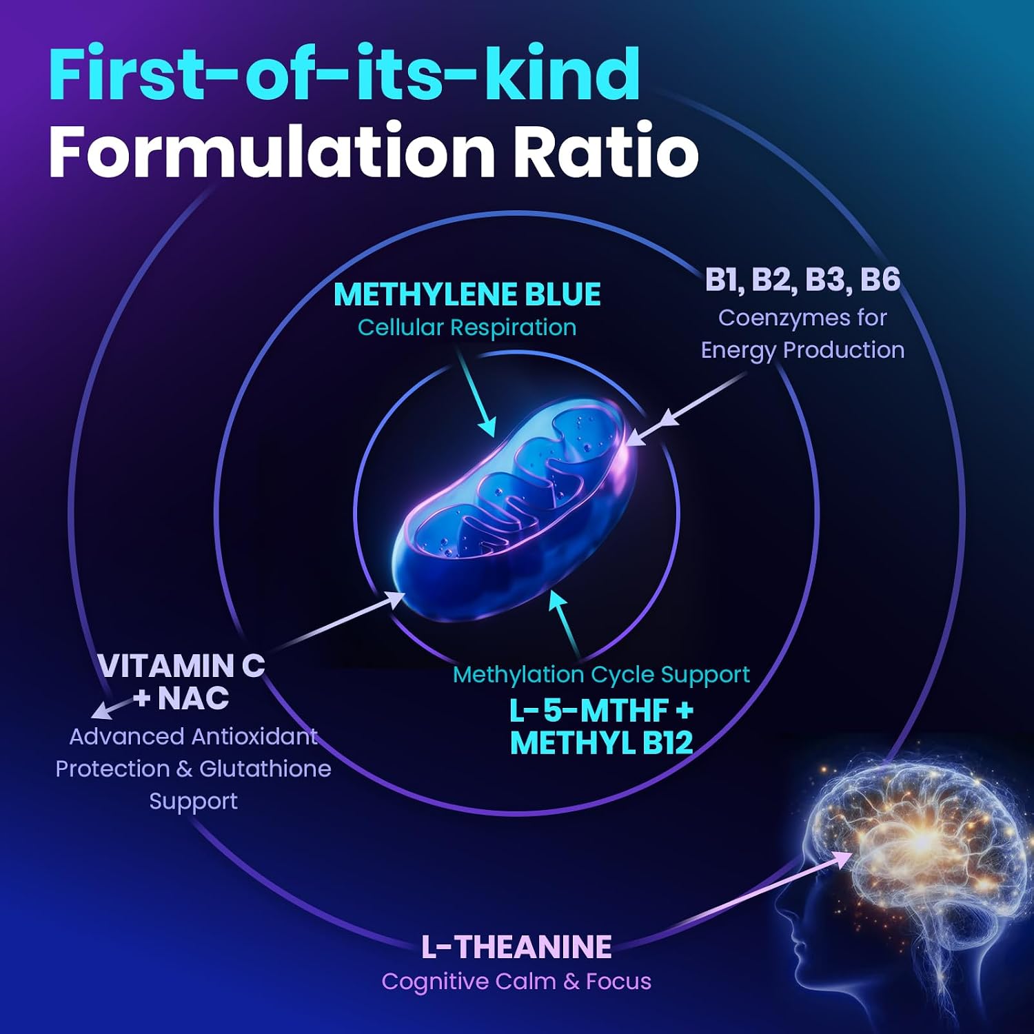 Methylene Blue Pharmaceutical Grade Capsules for Humans - Triple-Pathway Formula with Pure MB, NAC, L-5-MTHF, L-Theanine& Methyl B12 | Cognition, Mental Clarity, Cellular Energy... - Image 2