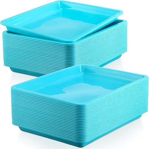 24 bandejas de plástico para actividades artísticas y bandejas de manualidades de 11 x 8.66 x 0.98 pulgadas, bandeja organizadora de servicios,