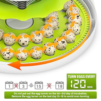 40 Quail Egg Incubator with Automatic Egg Turning Humidity Control Eggs