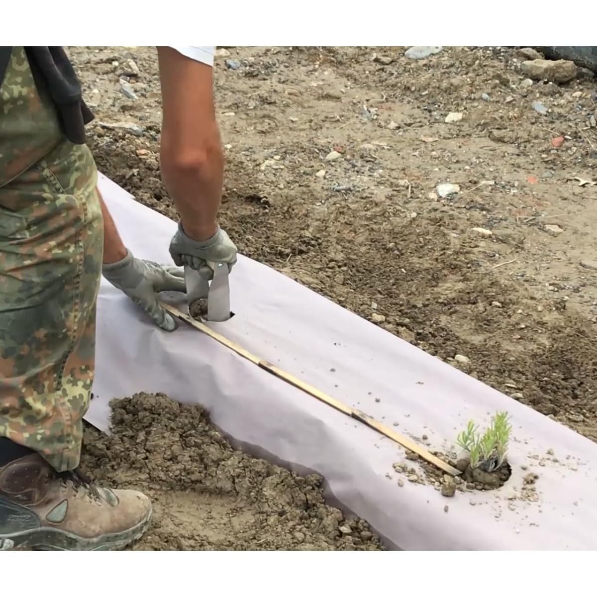 Tela di pacciamatura Kraft 0,9 x 20 m 115 g/m² – Rotolo anti erba, mantenimento dell'umidità suolo, giardino orto coltivazione all'aperto