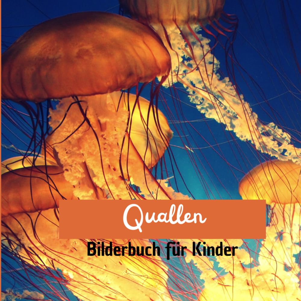 Quallen: Bilderbuch für Kinder