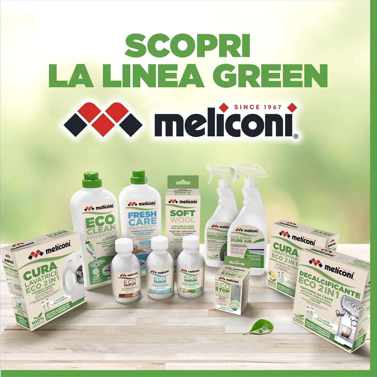 Vue 8