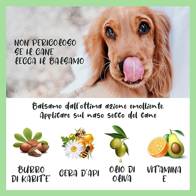 Foto 4 de 8 de Dulac - Bálsamo Natural Nariz Perro, Sin Perfume, Hidratante, 50 ml