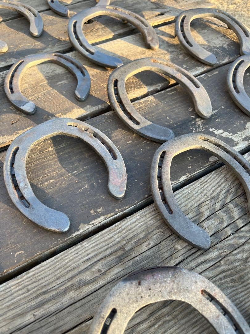 蹄鉄 オーダーページ ゴミ除去 錆除去 焼き仕上げ / 馬蹄 ホースシュー Amazon.co.jp: 蹄鉄 オーダーページ ゴミ除去 錆除去 焼き仕上げ 馬蹄