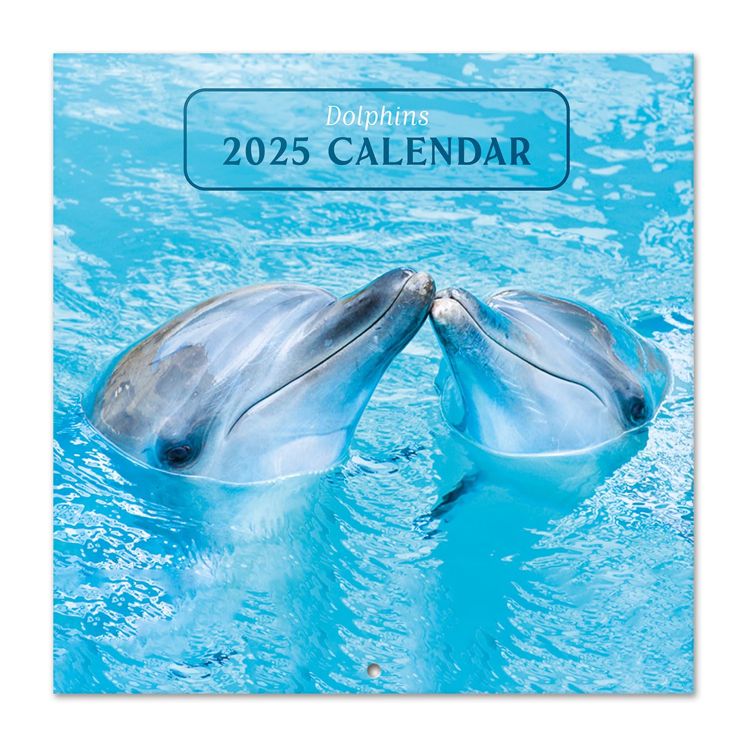 Calendrier Mural 2026 Blue Lock - 30x60 Cm, Papier 140g, Multilingue, Illustrations Football
