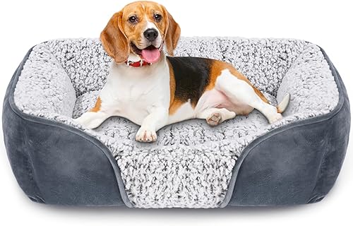 Camas para perros pequeños, rectangular, lavable a máquina, sofá cama para perro, imitación de cordero cachemira cama para mascotas para cachorros y