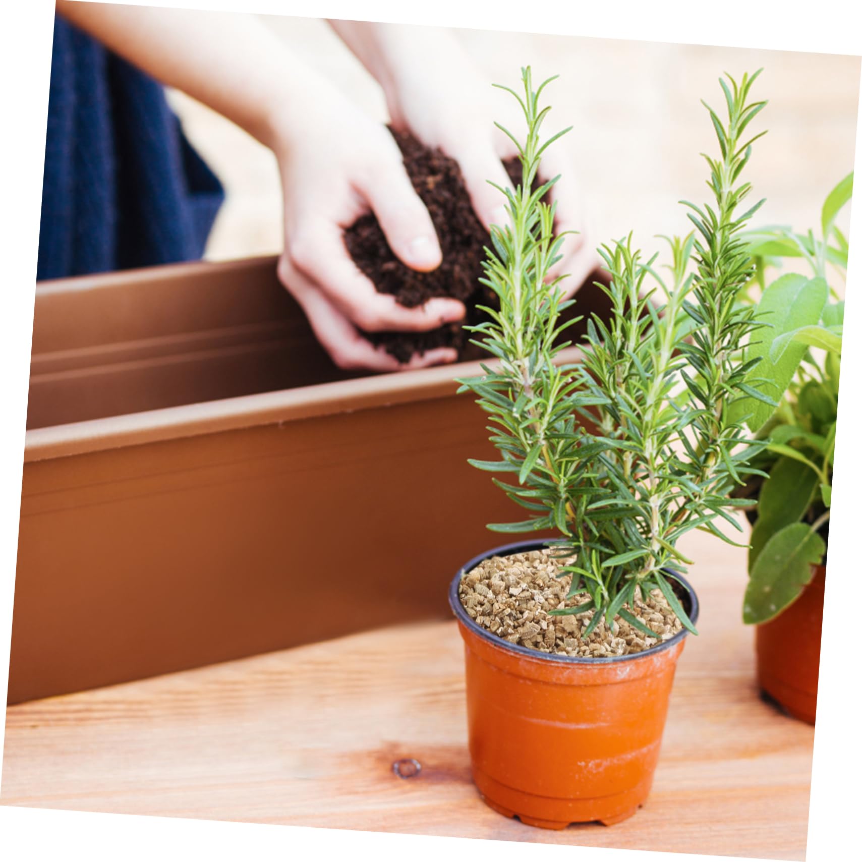 Abaodam Vermiculita para Jardinería pH Equilibrado, Capacidad 3L, Alta Retención de Agua y Uso Versátil para Cultivo de Hongos y Mascotas de Terrario en Interiores