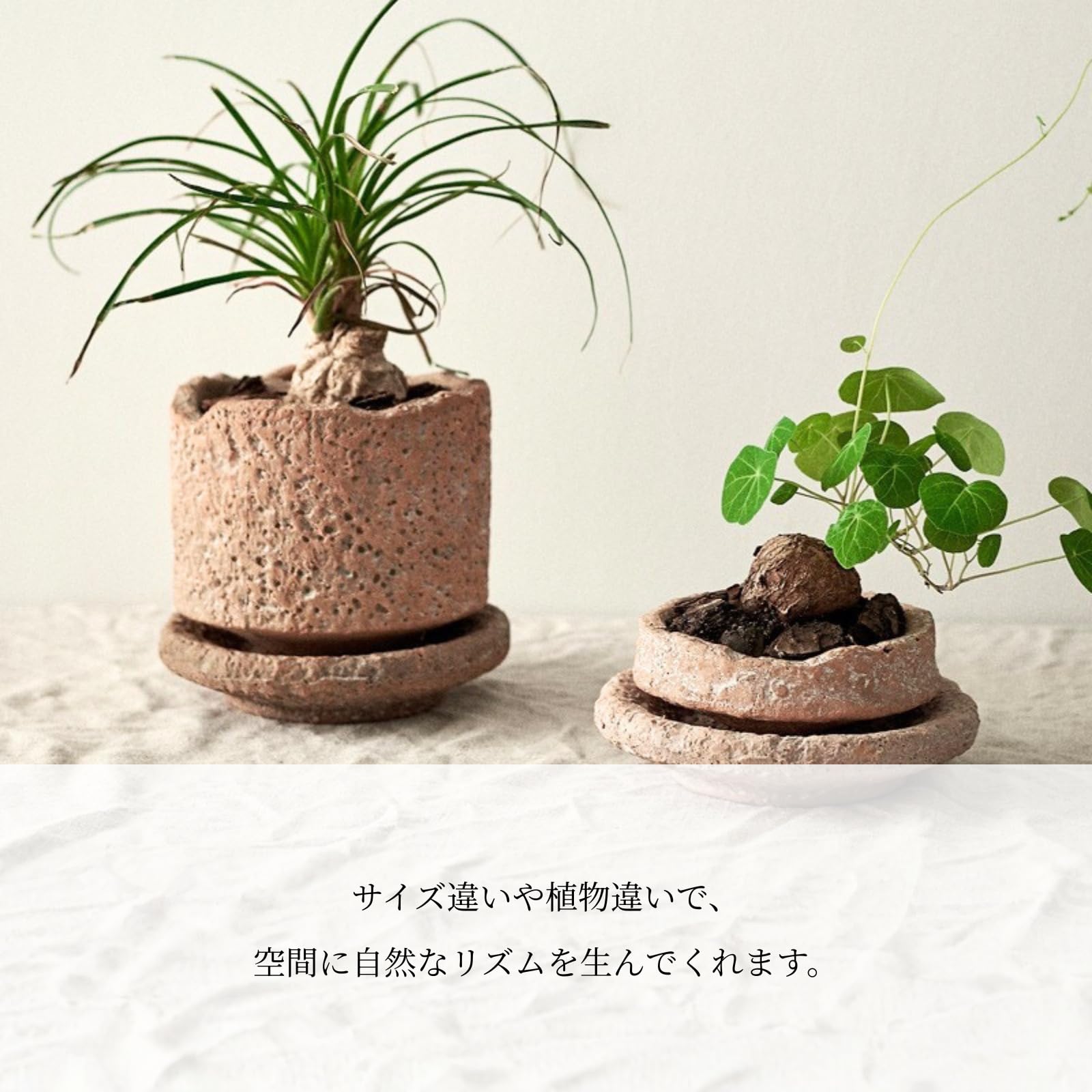 素焼きのような丸形鉢 台座付き Amazon.co.jp: TUISKU 植木鉢 テラコッタ アンティーク風 モスポット