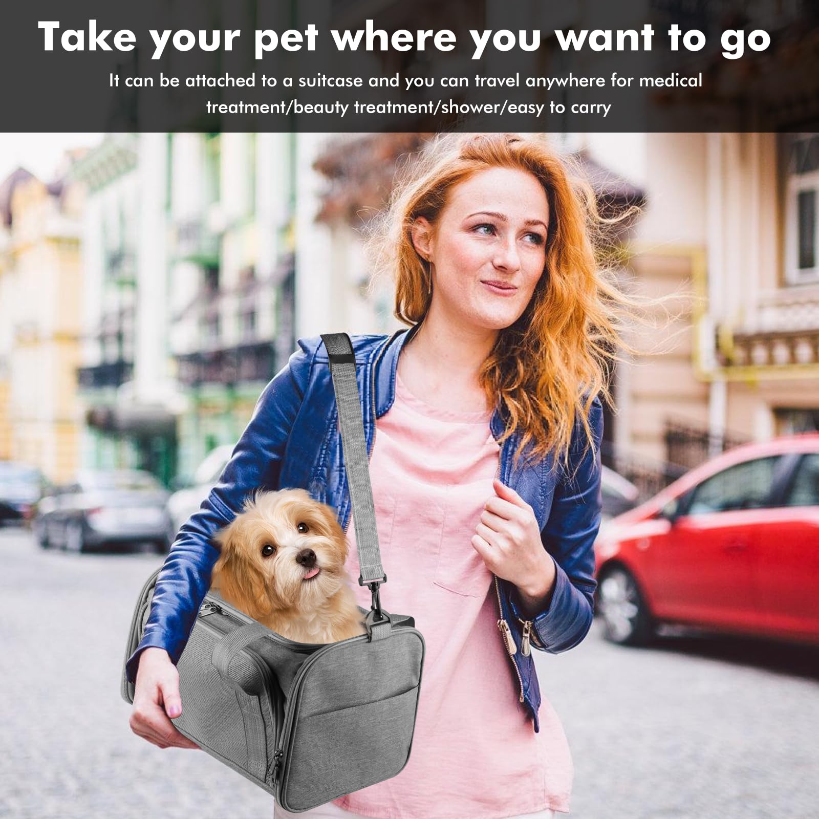 Bolsa de transporte plegable para gatos, con correa para el hombro, ligera, transpirable y apta para aviones, para animales pequeños de hasta 3 kg (gris, 40 x 25 x 25 cm), para viajes