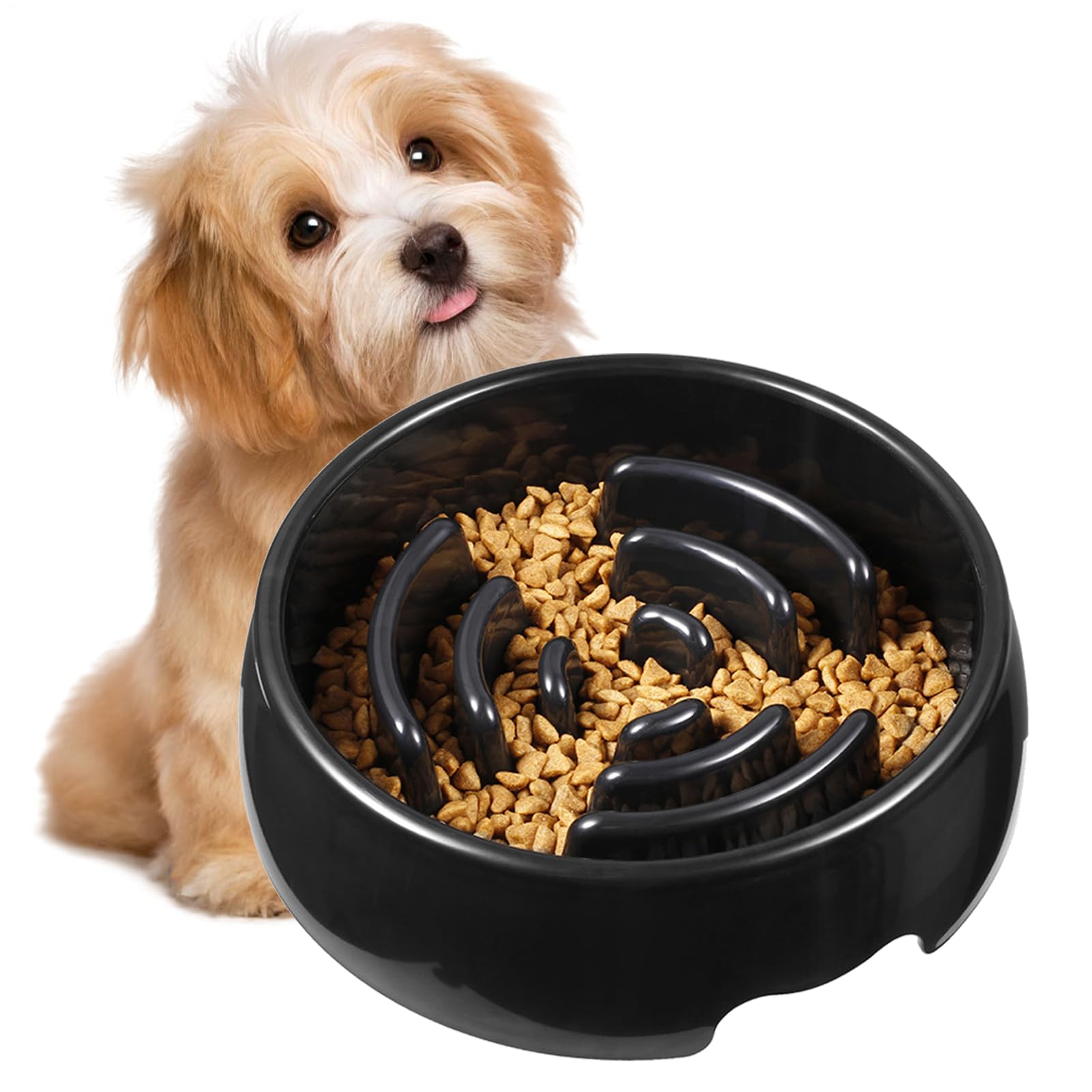 Gamelle Anti-Glouton Chien Écuelle Antidérapante et Bol Interactif Chiots