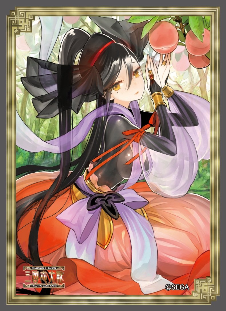 カードスリーブ三国志大戦蜀