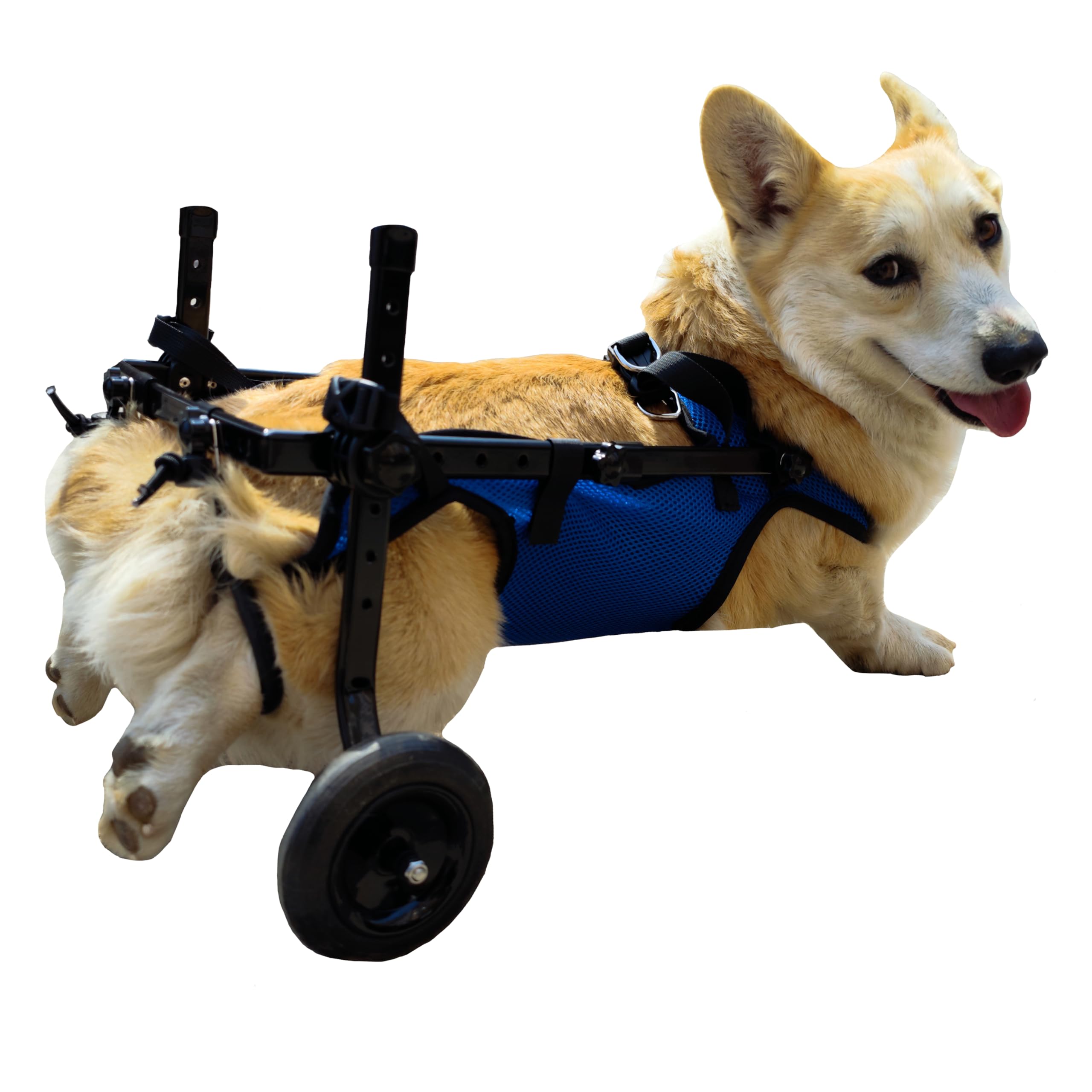 KAJILE Sillas de Ruedas Plegables de Dos Ruedas Para Perros,Silla de Ruedas Para Patas Traseras de Mascotas Pequeñas,Silla de Ruedas Ajustable Para Perros Con Patas Traseras,Azul,XS