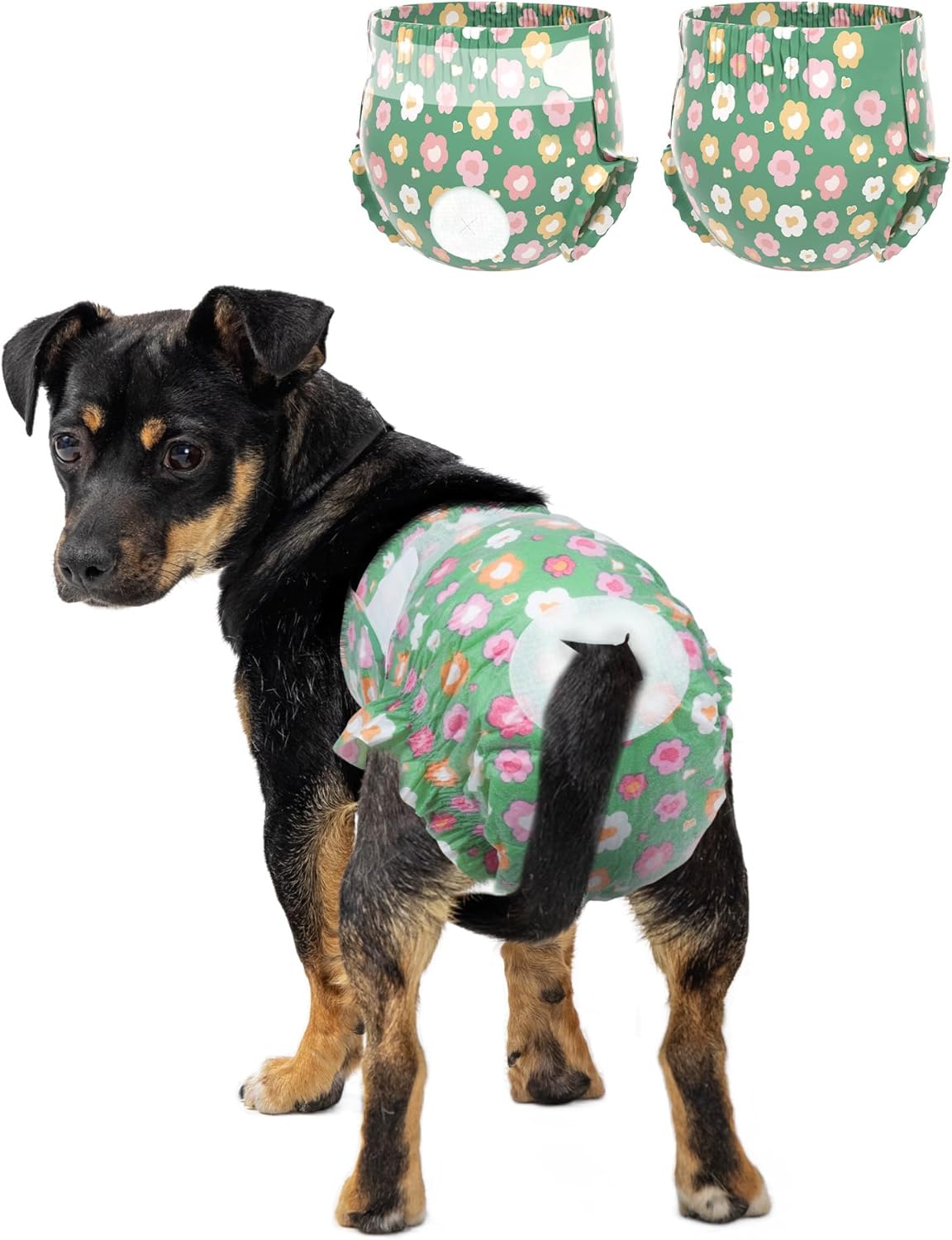 Pet Soft Dog Diapers Female, Disposable Female Dog Diaper, Doggie Diapers for Cat Puppy with Adjustable Foam Tail Hole(Green,36M)