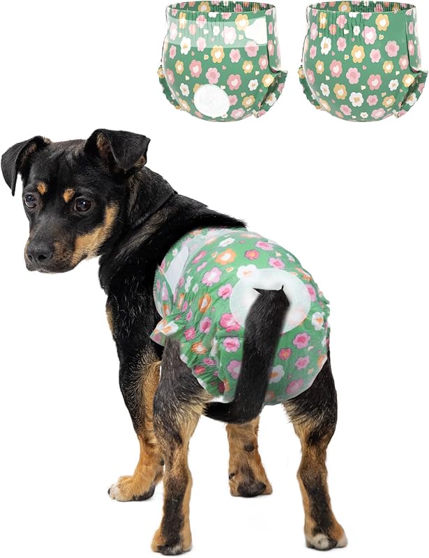 Fraldas descartáveis para cadelas e gatas Pet Soft com furo ajustável para cauda, verde, 12 unidades (12XS)