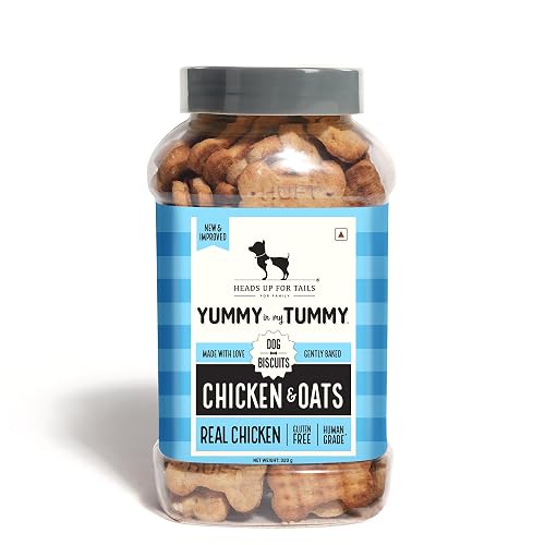 Yummy in My Tummy by HUFT Chicken & Oats Dog Biscuits – 320 gm | Crunchy & Healthy Treats for Puppies & Adult Dogs | High-Protein Snack | Ideal Training Treat for All Life Stages Dogs