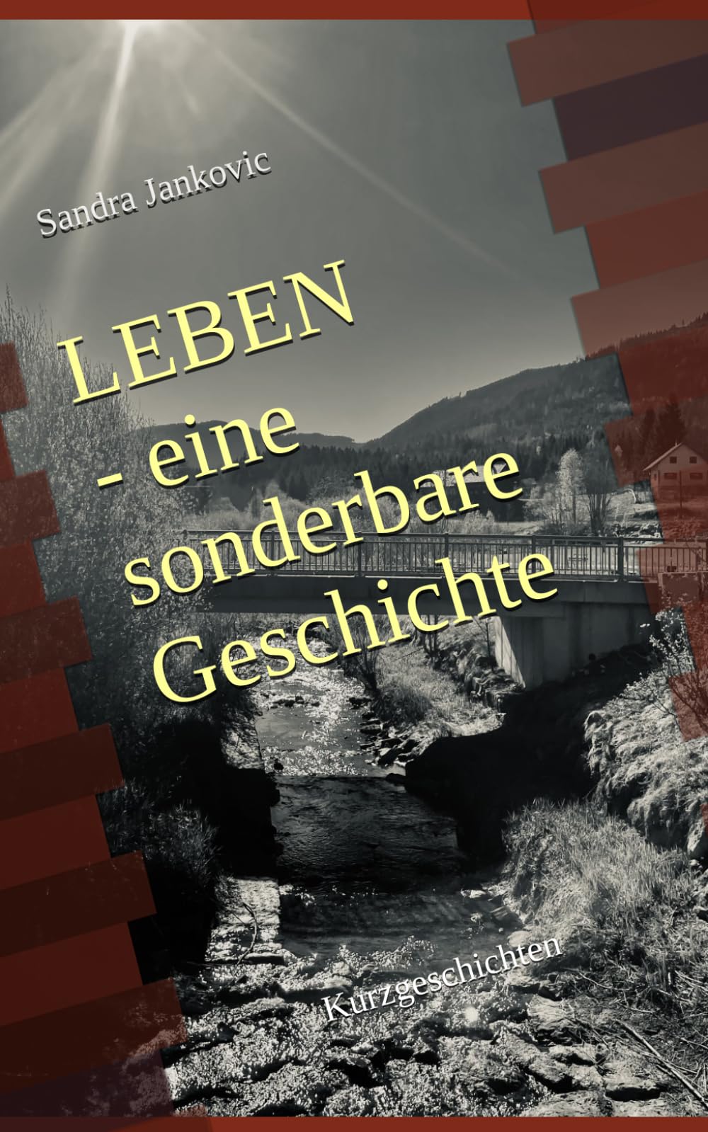 Leben – eine sonderbare Geschichte: Kurzgeschichten