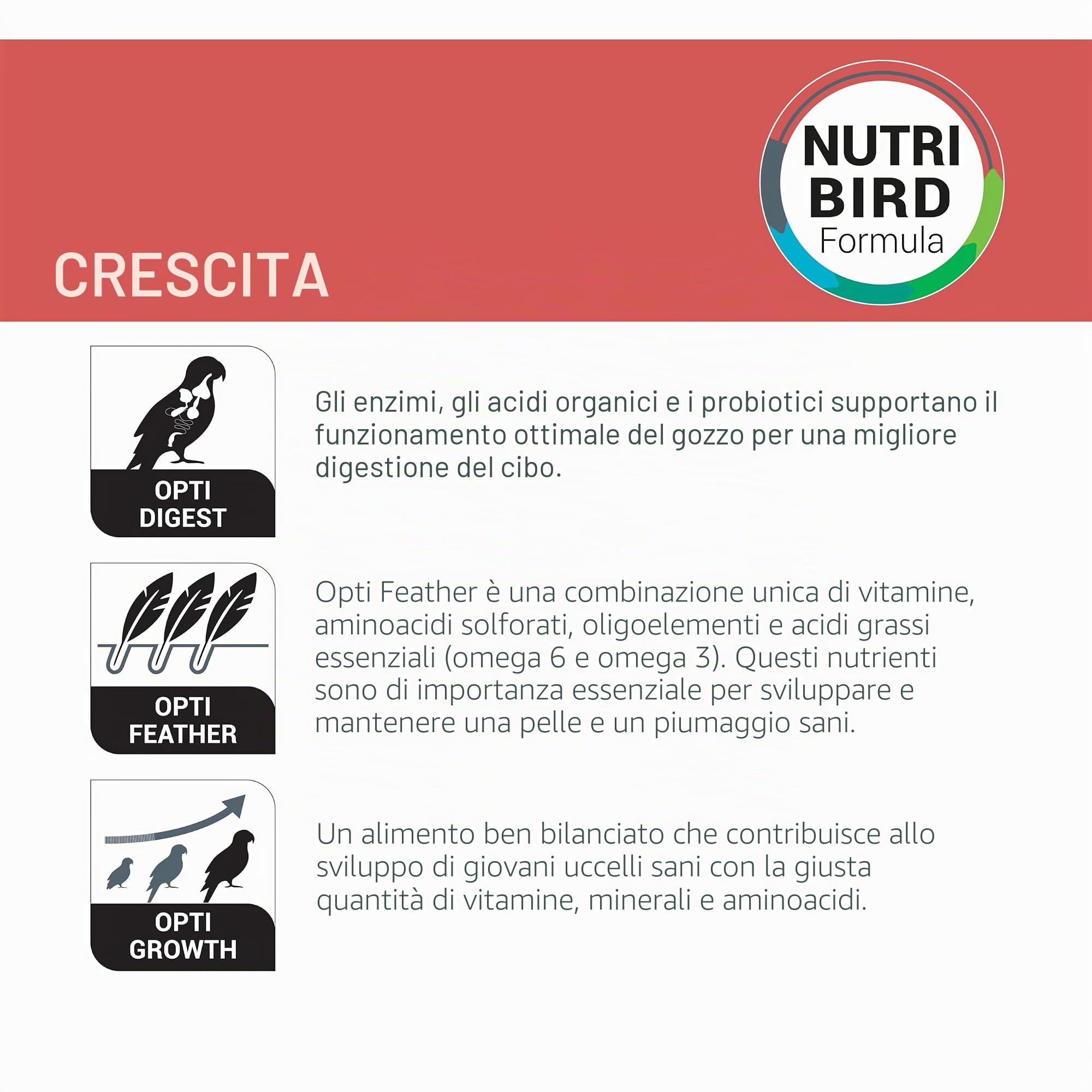 Versele-Laga NutriBird A19 | Confezione Doppia | 2 x 800 g | Mangime per l’allevamento a mano di ara, pappagalli grigi, pappagalli ecletto e altri uccelli giovani con elevato fabbisogno energetico