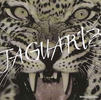 Amazon.co.jp: JAGUAR '13: ミュージック