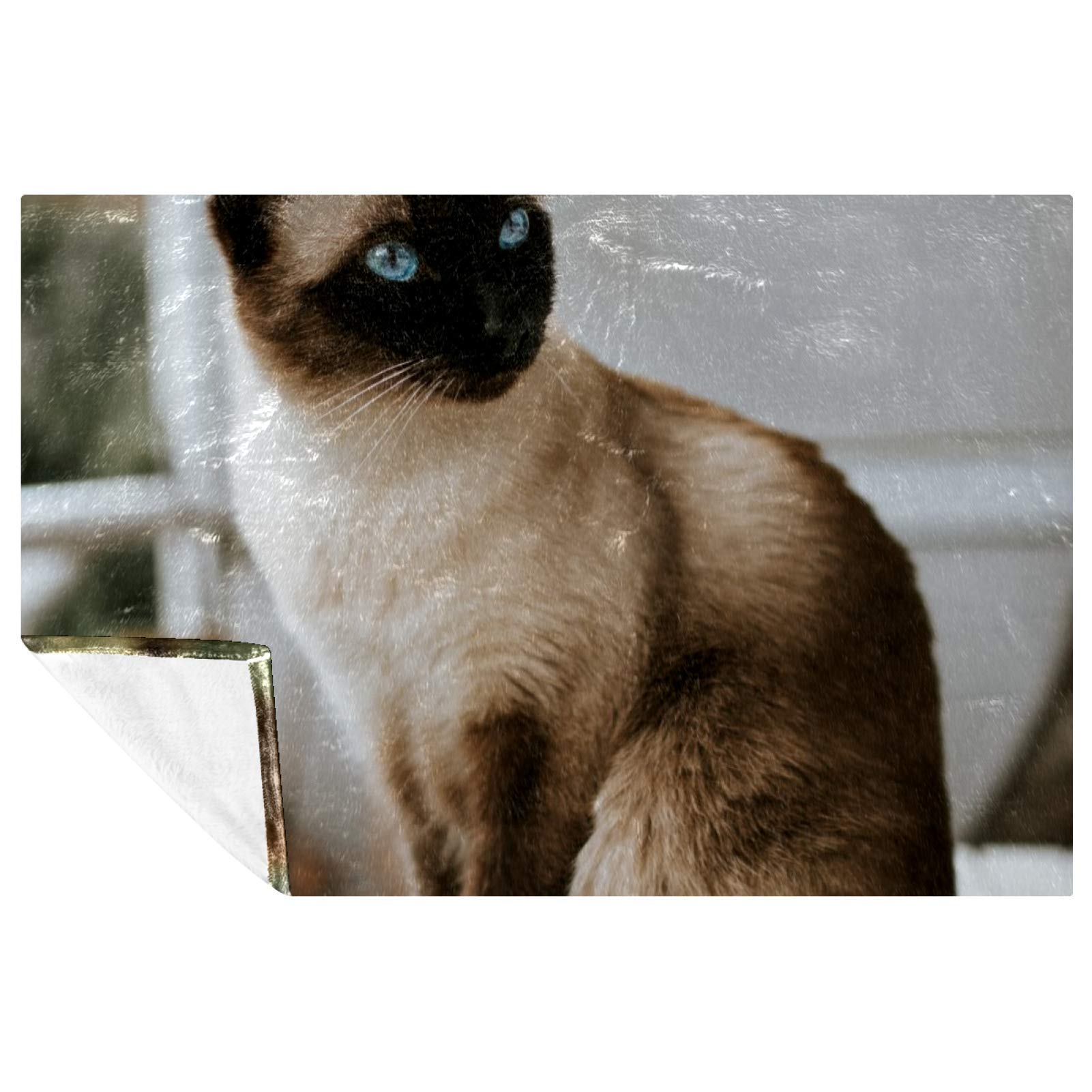 Bestideas Multicoloured Siamese Cat Prints Soft Warm Cozy Blanket Throw For Bed Couch Sofa Picnic Camping Beach, 150 * 200Cm