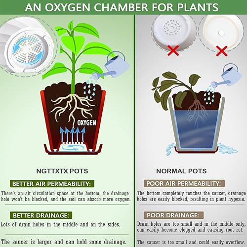 Miniatura 3 de Macetas de 8 pulgadas con agujeros de drenaje y platillos - Macetas para plantas de interior - Macetas de plástico blanco para plantas al aire libre