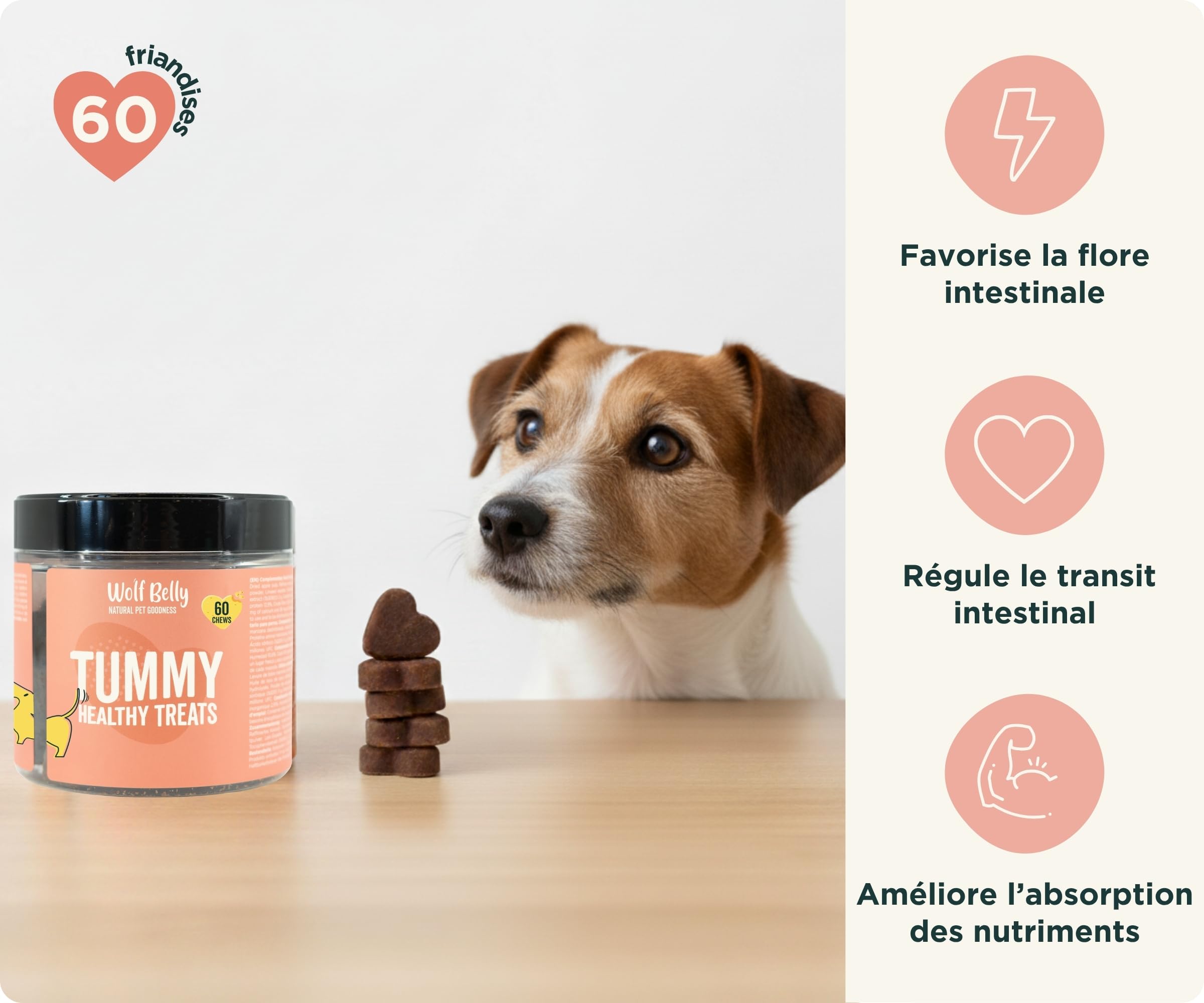 Wolf Belly - Pack Digestif pour Chiens | Complément Digestif en Poudre + Friandises aux Probiotiques | Réduit la Diarrhée | Améliore la Flore Intestinale - Fabriqué en Europe